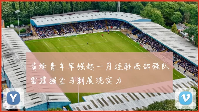 黄蜂青年军崛起一月连胜西部强队雷霆掘金马刺展现实力