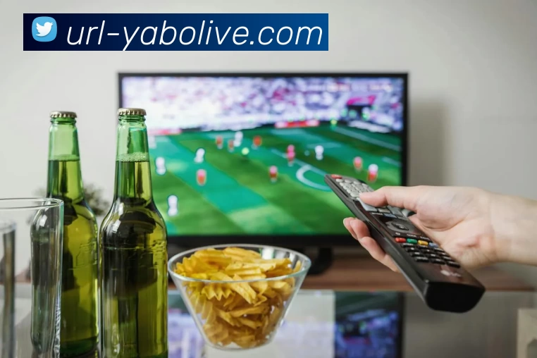 多媒体互动体验