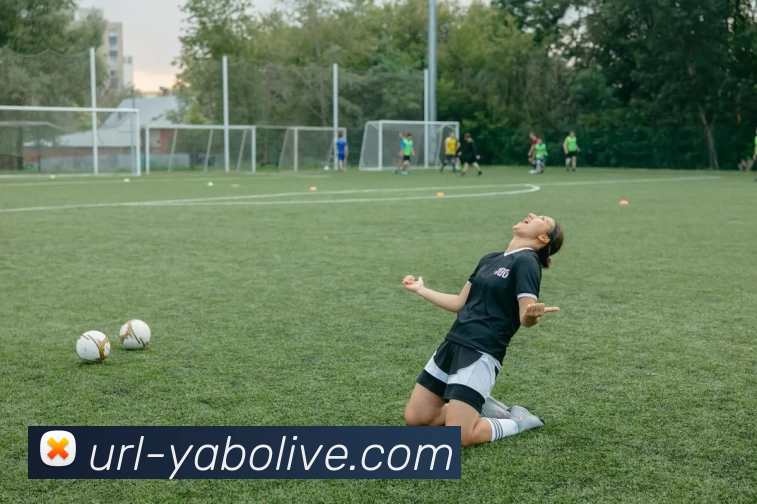 亚博体育APP 高清赛事图